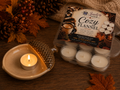 Cozy Flannel Soy Wax Tea Lights | Gift Set of 6