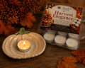 Harvest Elegance Soy Wax Tea Lights | Set of 6