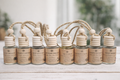 Hanging Car Diffuser – Long Lasting Car Air Freshener – Multiple Scents